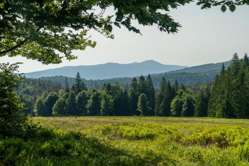 Hochschachten