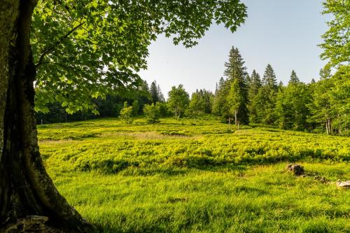 Lindbergschachten