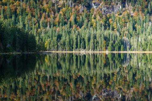 Grosser Arbersee