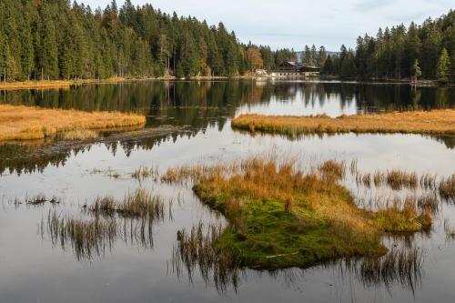 Grosser Arbersee