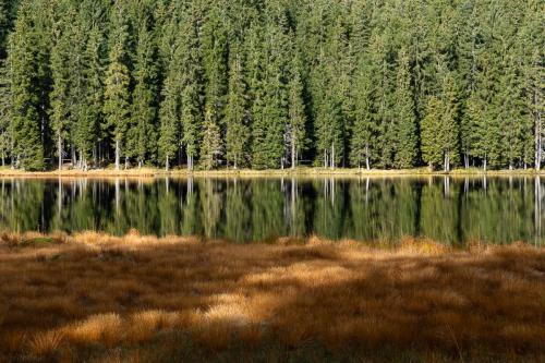 Grosser Arbersee